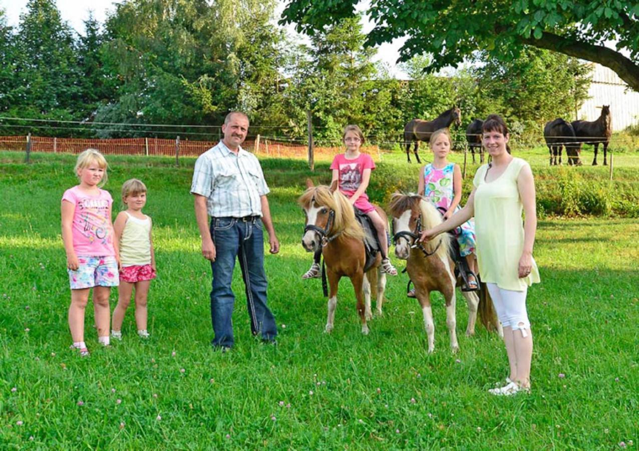 Ferienhof Kuerschner Drebach Zewnętrze zdjęcie