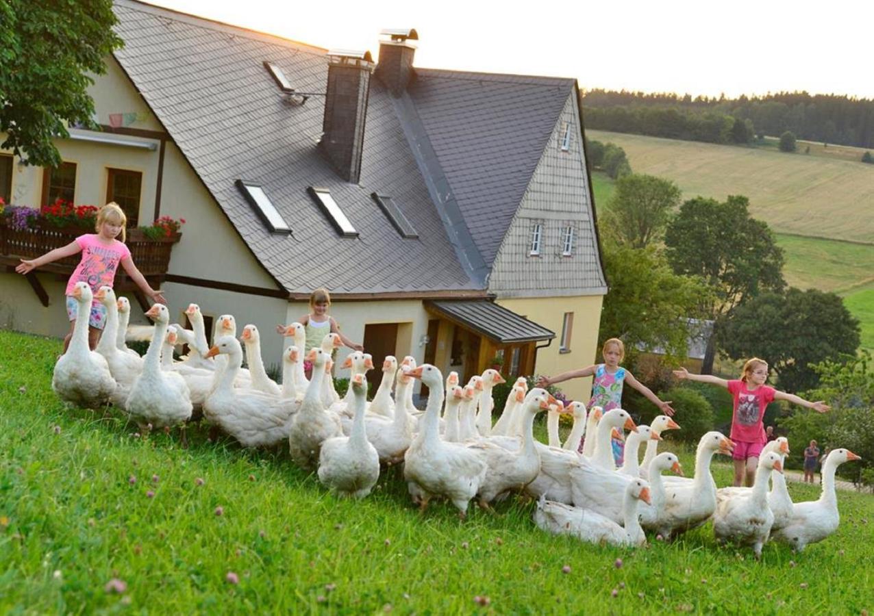 Ferienhof Kuerschner Drebach Zewnętrze zdjęcie