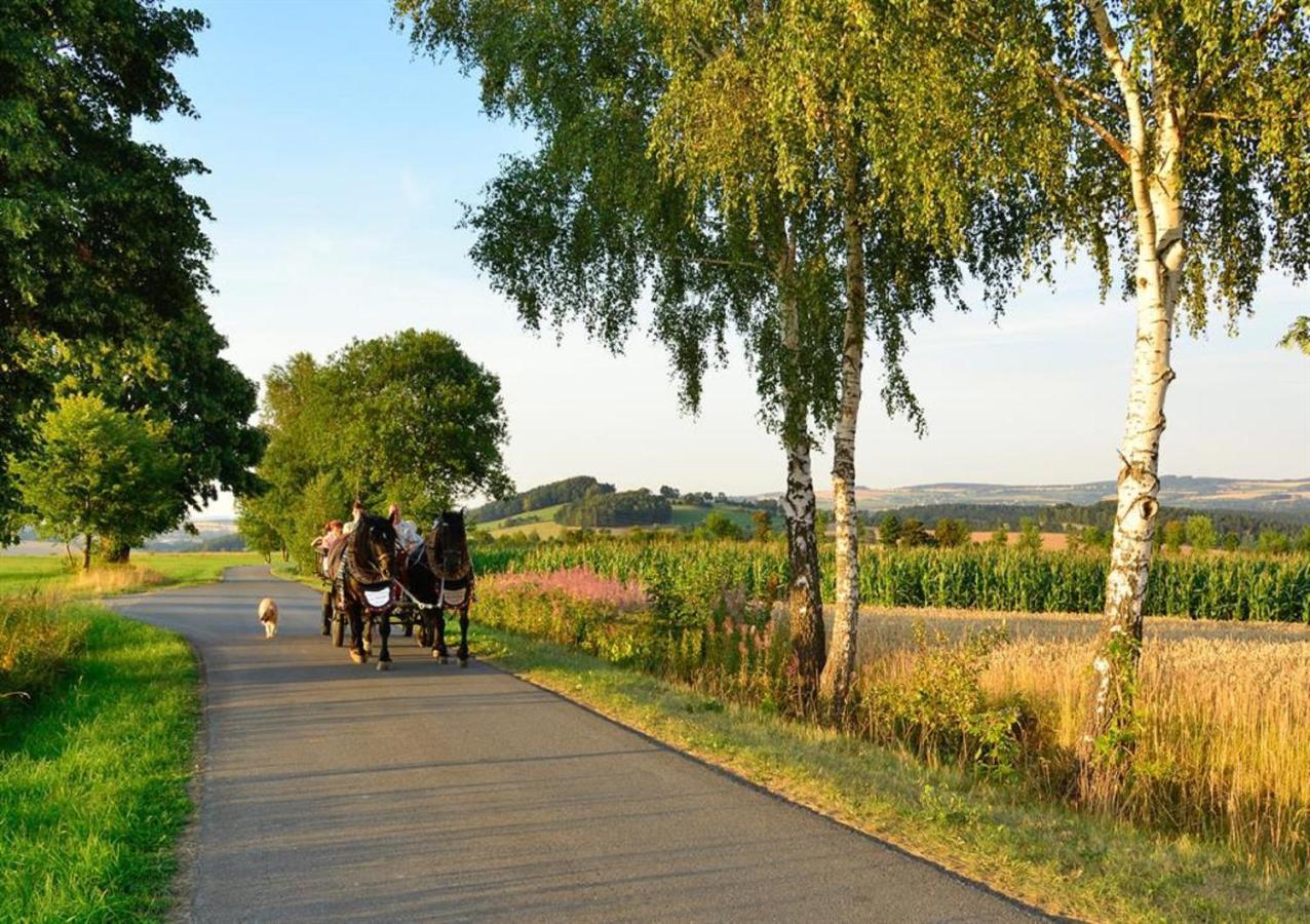 Ferienhof Kuerschner Drebach Zewnętrze zdjęcie