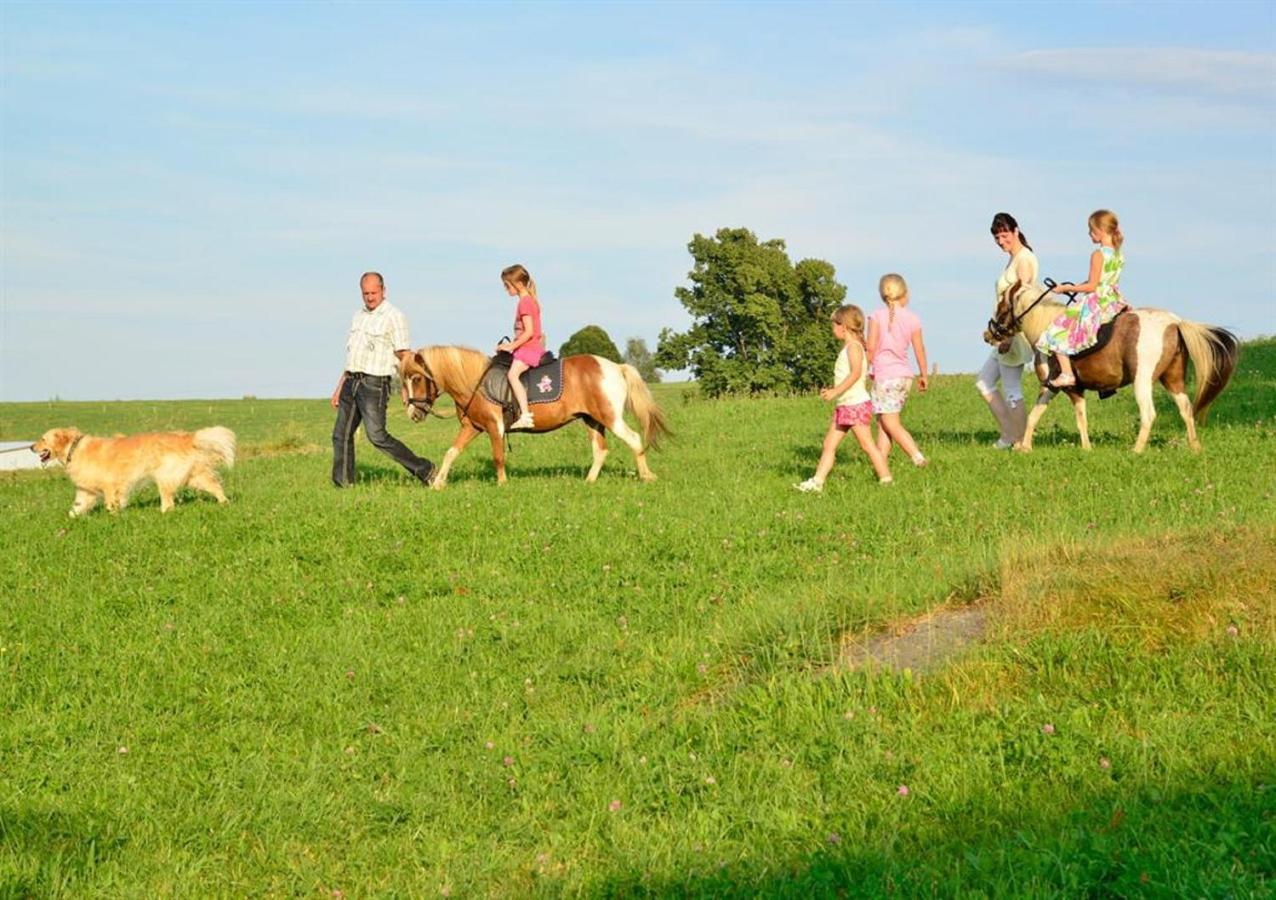 Ferienhof Kuerschner Drebach Zewnętrze zdjęcie